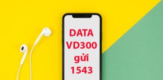 goi-VD300-vinaphone