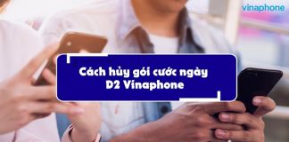 huy-goi-d2-vinaphone