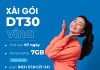 Goi-cuoc-dt30-vina
