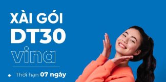 Goi-cuoc-dt30-vina