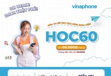 goi-hoc60-vinaphone